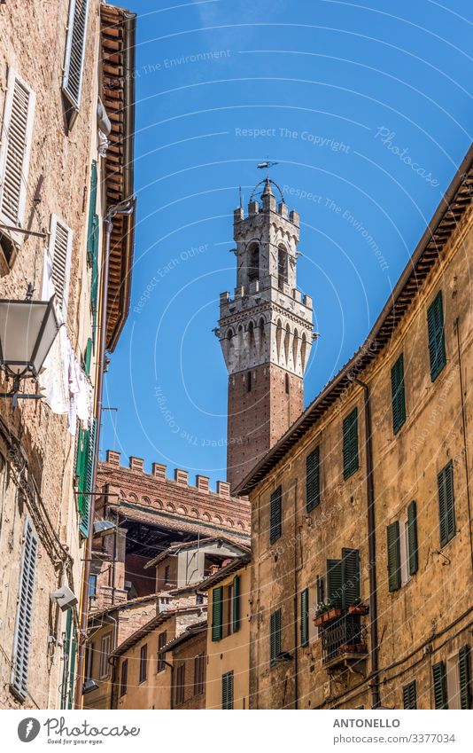 Top of Torre del Mangia behind Piazza del Campo Vacation & Travel Tourism Summer House building Art Architecture Sky Cloudless sky Beautiful weather Siena