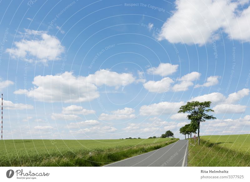 Road through green fields Environment Nature Landscape Plant Sky Clouds Climate Beautiful weather Tree Grass Agricultural crop Field Street Lanes & trails