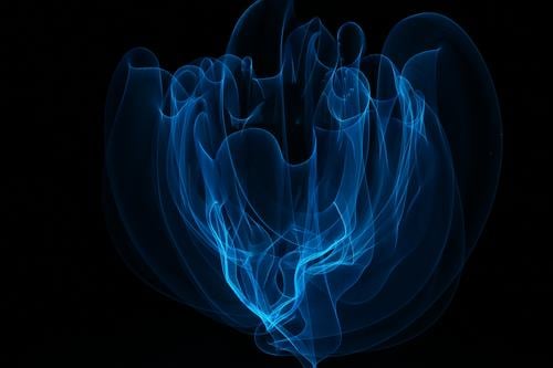 Delicate veil (LightPainting) Smoke Touch Movement Illuminate Draw Smoking Dance Dream Exceptional Fantastic Beautiful Uniqueness Wild Soft Blue Black Power