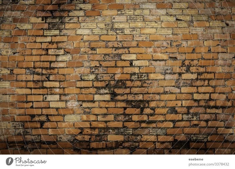 Old mud brick wall burnt dirty adobe concrete cement outdoor earth detail backdrop home house structure "poor brickwork" "stone structure" "white brick"