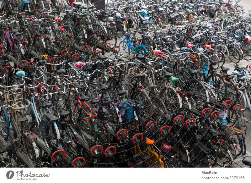 Parking bicycles Means of transport Bicycle Stress Cycling Parking lot Exterior shot Deserted Colour photo Day