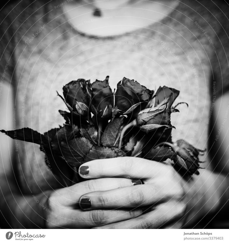 black roses for Valentine's Day Abstract black background flowers dark fashion date Date plan Woman Joy girlfriend Spring fever Emotions Gift hands Love Lovers