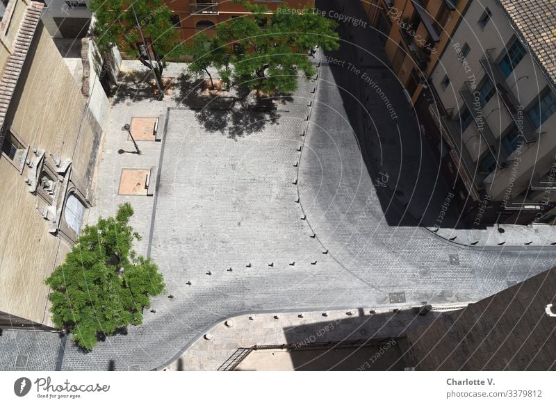 Bird's eye view | Empty square surrounded by houses in the midday heat. Viewpoint: From above. Environment Plant tree Valencia Spain Europe Town Deserted