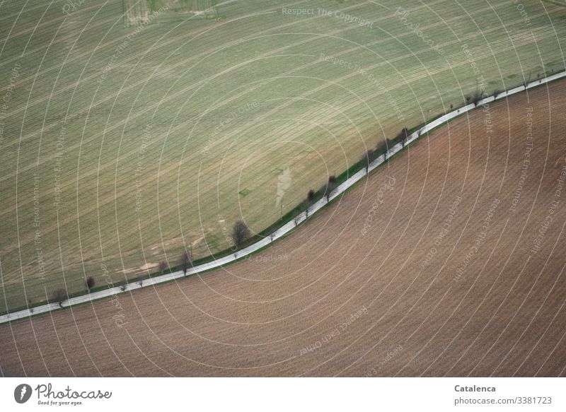 Colour combination | Agricultural landscape from the bird's eye view Nature Landscape Meadow Field acre Agriculture Street Country road ,Trees Aleé ,Winter