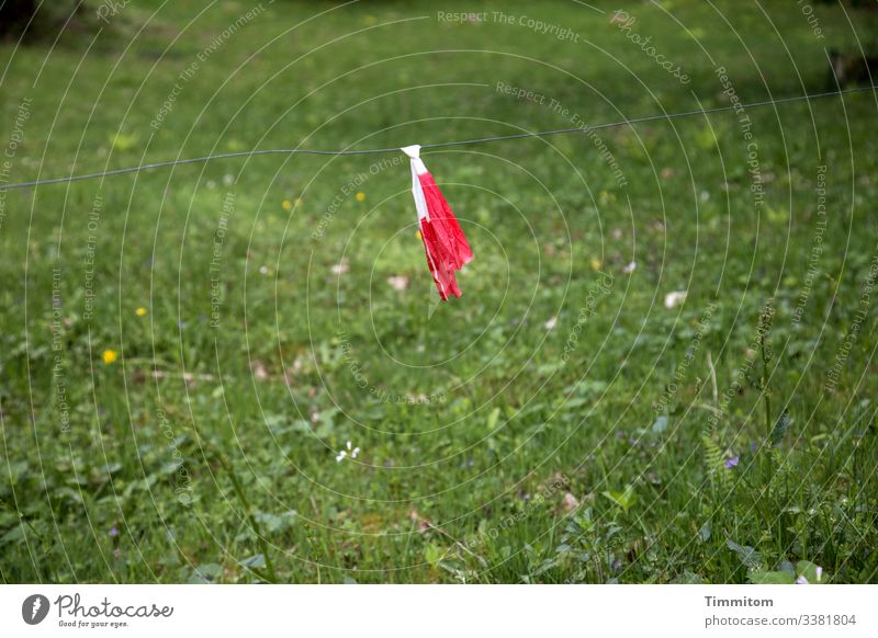 Ah there! A wire! Wire demarcation mark flutterband Red White Meadow Grass Barrier Protection Reddish white Bans Fence Deserted