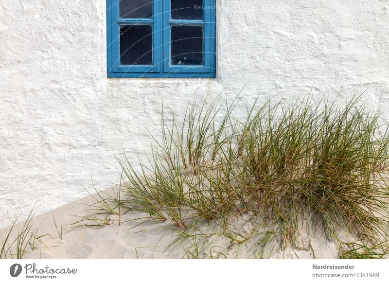 House by the sea dunes House (Residential Structure) Sand Marram grass dwell Vacation home vacation travel background Window Wall (building) Old Architecture