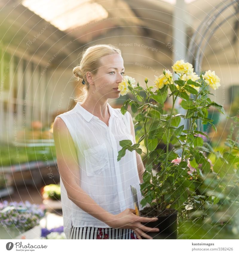 Florists woman working with flowers at greenhouse. buy roses shop business garden happy gardener horticulture store plant beautiful retailer customer lifestyle
