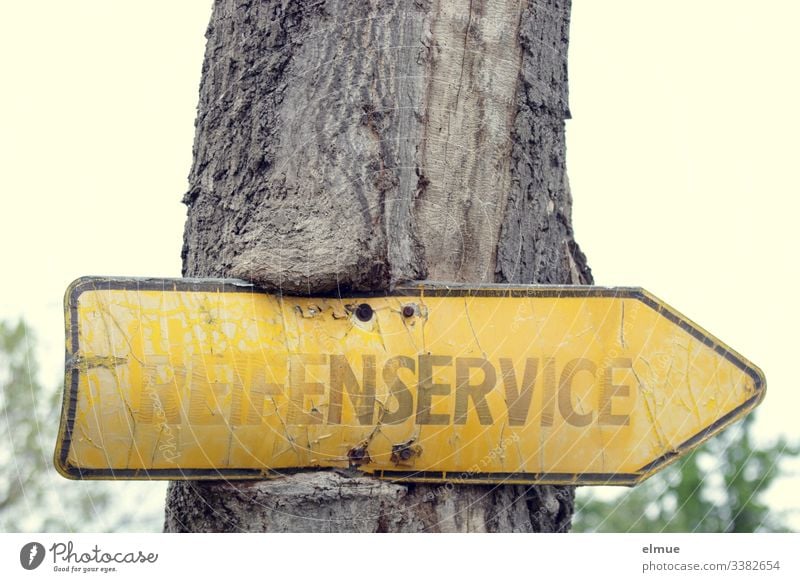 Tire service sign Tyre service Yellowed Tree ingrown fun Illegible Exterior shot Old Transience Nostalgia Clue Signage Direction groundbreaking