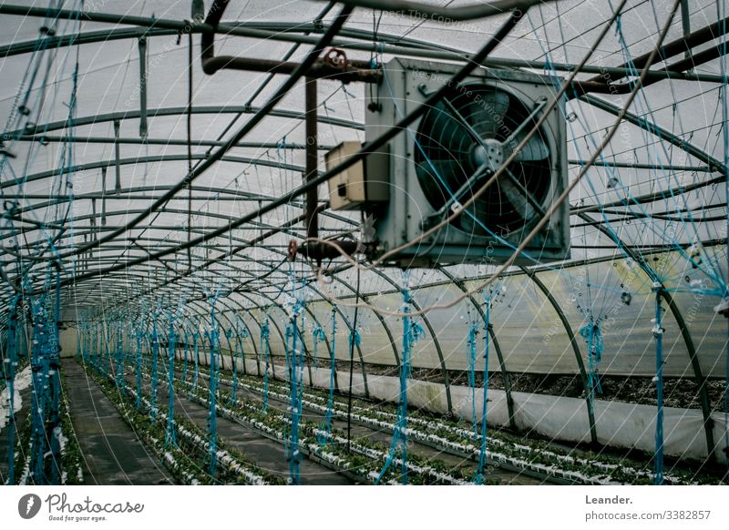 Greenhouse, ventilator, industrial plant Blue Agriculture Nutrition Land Feature Workplace