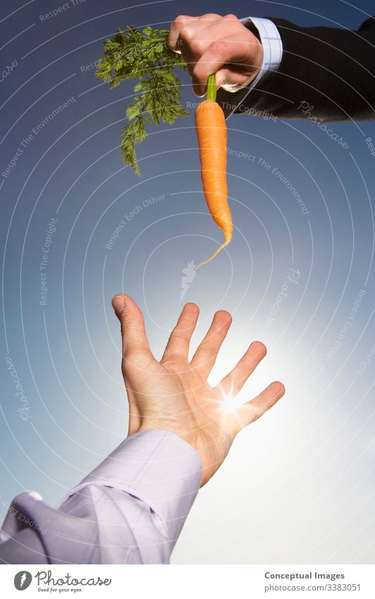 Reaching for a carrot Anticipation Business Business person Carrot chasing Control Dangling a carrot Desire Food Greed Ideas Incentive Motivation Opportunity