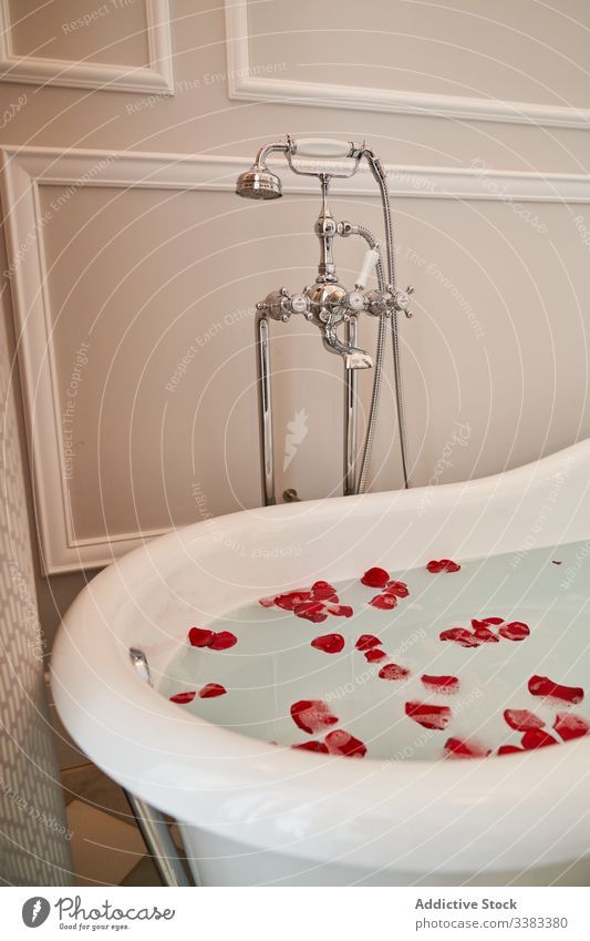 Decorated bathroom for romantic date at home bathtub petal rose water concept holiday hygiene surprise celebrate valentine event romance apartment vibrant love