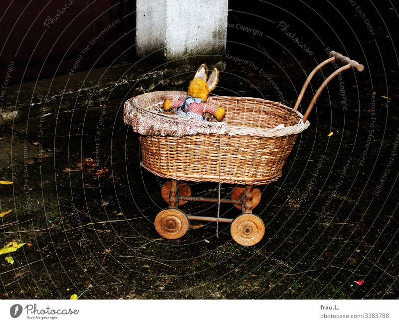 The golden-yellow plush bunny in his old bassinet spreads out his arms in desperation in the unkempt backyard surrounding him Easter Bunny Toys Backyard Unkempt