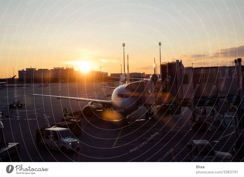 An aircraft checking in at the airport at sunset Airplane Flying air traffic Airport travel Sunrise Sunset dispatch Wanderlust vacation atmospheric