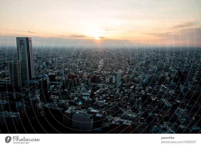 Tokyo City City of millions metropolis Skyline Japan Vantage point Town High-rise Capital city Downtown Bird's-eye view Asia overpopulation Panorama (View)