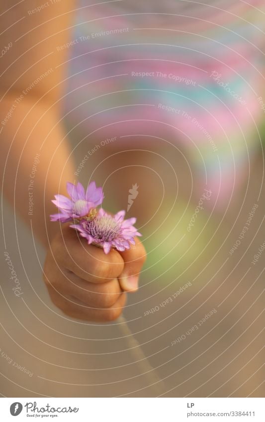 A child holding purple flowers flowers closeup Gift Nature Flower Garden Blossom Mother's Day Child gifts Bouquet Spring Pink Parents Parenting Love