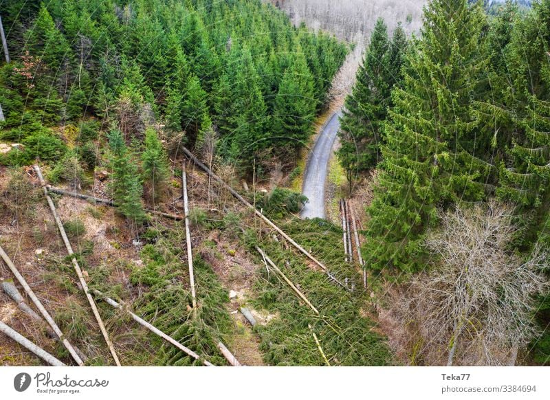 #Wald Storm damage road Forest storm damage Tree trees aerial photograph Gale trunk Wood Coniferous forest Hurricane obliquely roots branches Street forest path
