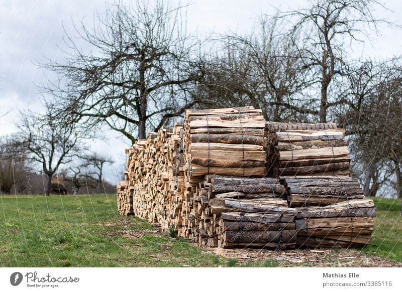 stack of wood Stack of wood Firewood Colour photo Deserted Day Nature Brown Structures and shapes Close-up tree Tree trunk Forestry Detail Subdued colour