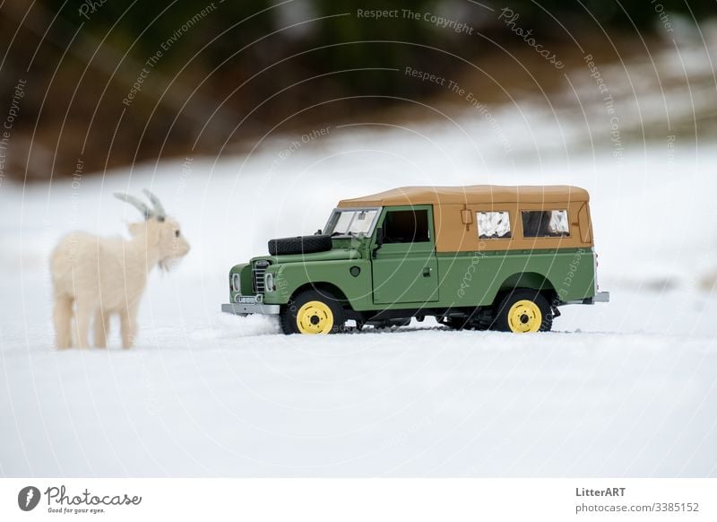 LAND ROVER SERIES IN FRESH SNOW MARVELLED AT BY GOAT goat mountain goat Virgin snow Snow Winter winter landscape country rover land rover series Vintage car