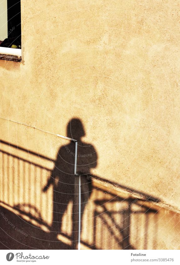 Shadow of a woman on a staircase with banister on a house wall Light and shadow Architecture Building Wall (building) Wall (barrier) Exterior shot Day