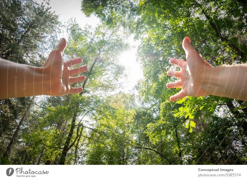 Personal perspective of a man with outstretched arms in a forest active adult adventure breath breathing carefree caucasian concept day daylight environment