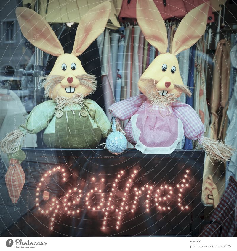 Customer Catchers hares Easter Easter bunnies Spring Multicoloured Deserted Interior shot Shop window purchase & sale second-hand goods Flea market Textiles