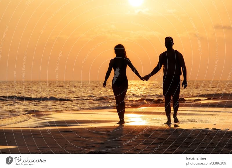 Silhouette of a couple walking at the beach in front of the sunset active beautiful coast conceptual wet sand evening holiday landscape lifestyle love man