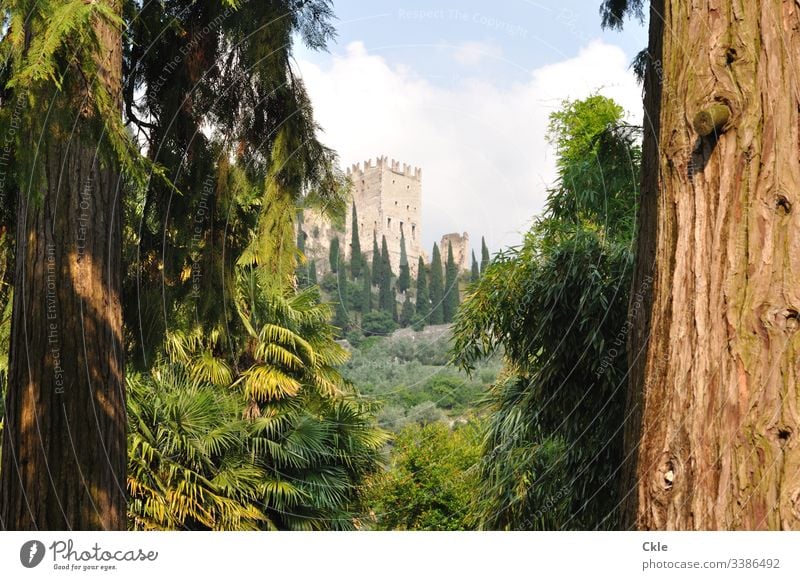 Castle Arco near Lake Garda Castle ruin Arco Trentino northern italy trees Park Cypresses Italy Landscape Mountain Clouds Health resort Sky Exterior shot