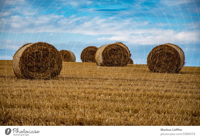 Straw rolls on the field Field Nature Landscape Sky harvest