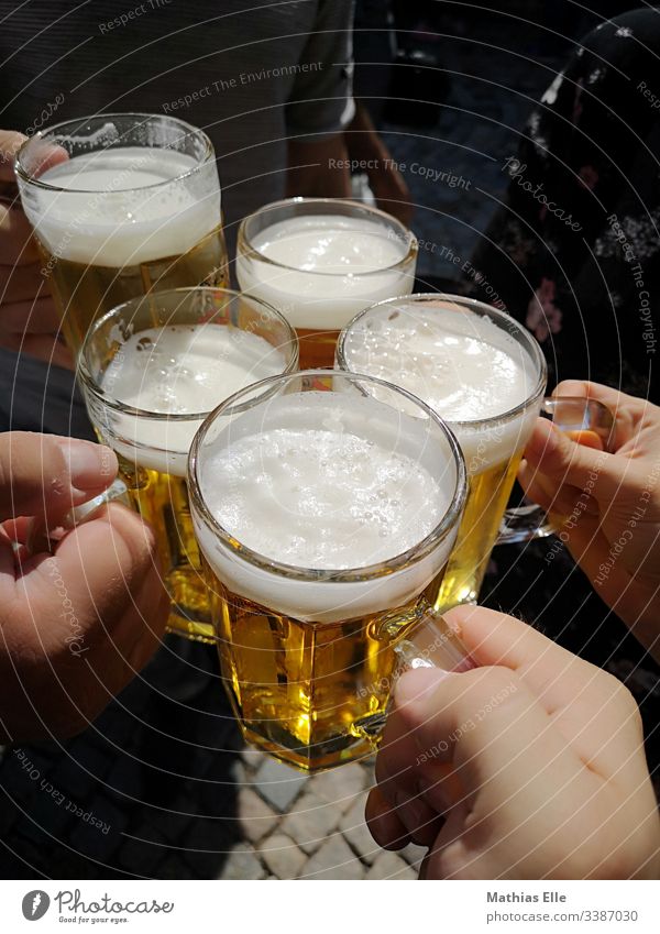 To your health! With a full glass of beer Beer Exterior shot Friendship Drinking Beer garden Alcoholic drinks Joy Colour photo Day Toast Shallow depth of field