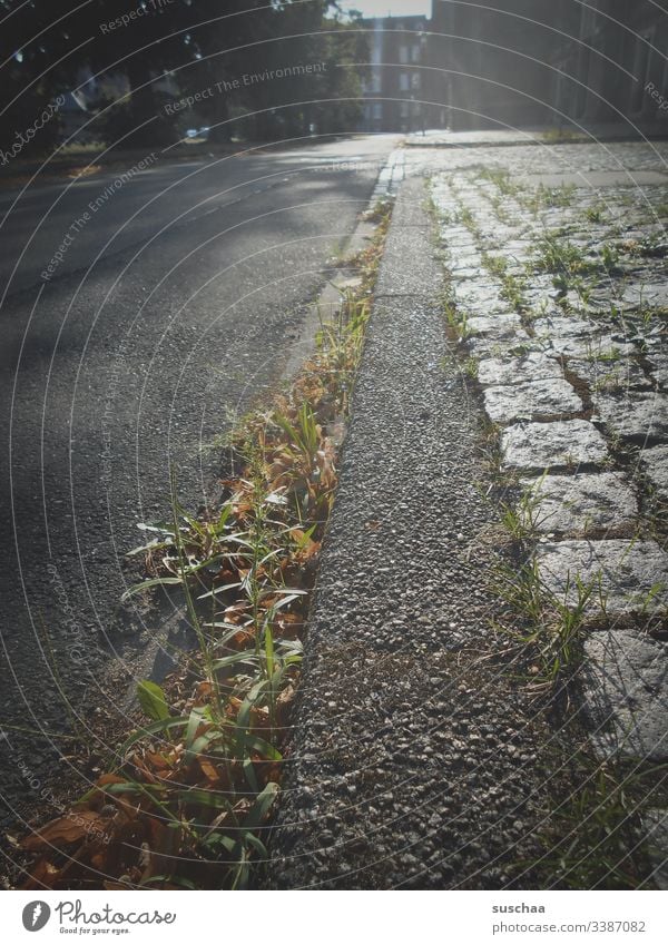 grass on a curb and sunlight off Street Cobblestones Day Exterior shot Deserted Sidewalk Traffic infrastructure Paving stone Town Curbside Pavement