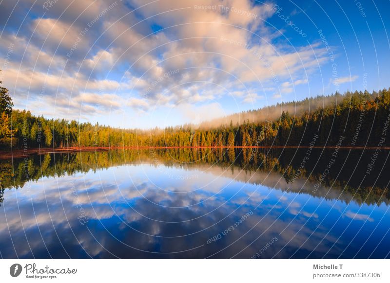 Stunning reflection on lake in early winter morning - a Royalty Free Stock  Photo from Photocase