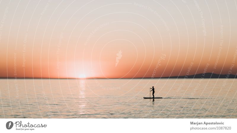 Woman paddling on a board on the sea in sunset activity background beautiful boarding enjoying evening female girl harmony healthy horizon landscape lifestyle