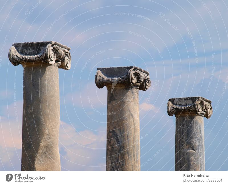 Columns with ionic capitals in Perge, Turkey Ruins columns Chapters Ionian capitals Day Holidays vacation travel Exterior shot Tourism Study trips Architecture