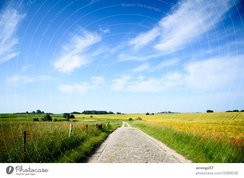 Path at the Vitter Chapel (Island of Rügen) Lanes & trails Field path" Nature Landscape Sky Exterior shot Colour photo Clouds Deserted Day Beautiful weather