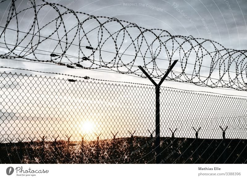 Barbed wire fence at sunset Escape Refugee refugee aid refugee policy Grating Fence Barbed wire fence" cordon Exterior shot Border Barrier Colour photo Threat