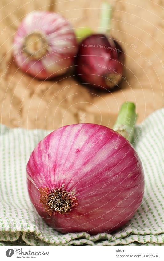 Onions and garlic lie as decoration and ingredient, on fabric and paper in the kitchen. Garlic Healthy Healthy Eating salubriously Food Vegetable