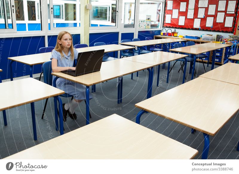 Primary school caucasian girl using a laptop in an empty classroom academic child childhood computer computing concentrating concentration desk digital