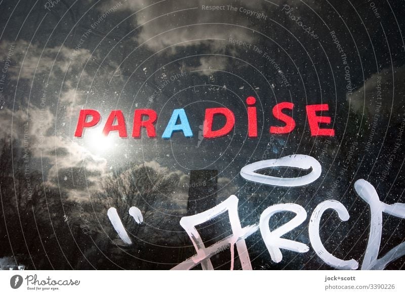 Paradise on a sad and sunny day Twilight Word Inspiration Longing Hope Moody Sunlight Back-light Winter mood Experimental Abstract Subculture Creativity