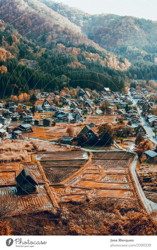 pueblo japones con casas en otoño hometown house rural traditional Japan Autumn Rural town Shirakawa-go asian Landscape background Wallpaper forest Mountain