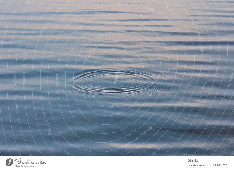 Symmetrical circles and waves on the calm water surface Water tranquillity Symmetry Comforting Calm Blue attentiveness Surface of water Undulating Waves Lake