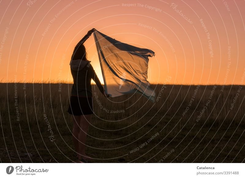 On the horizon of the prairie the sun sets, the young woman holds up a cloth Young woman Feminine 1 Human being Dusk Rag Sun Sunset Plant Grass Meadow