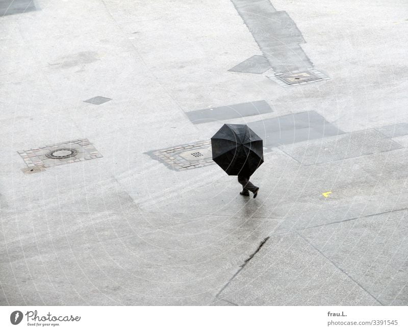 The large, two-legged umbrella walks casually across the windy Heiligengeistfeld Umbrella Rain Weather Places Day Bad weather Exterior shot Legs Human being Man