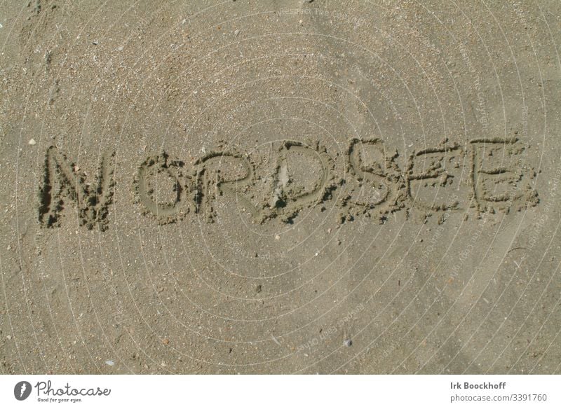 The word North Sea written in the sand North Sea coast North Sea beach Sand Beach more human Coast Exterior shot Relaxation Vacation & Travel Ocean Nature