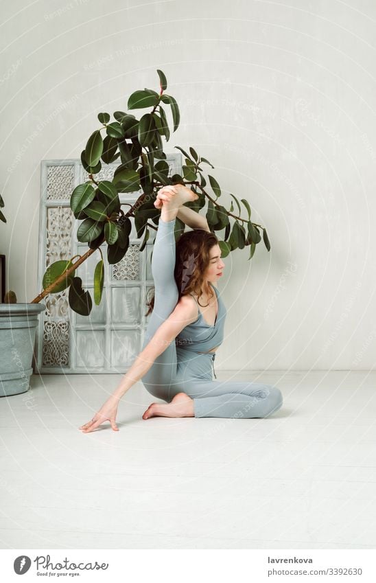 Young yogini practicing yoga and doing krounchasana pose in a room with a tree and white walls active athlete athletic attractive body brunette calm caucasian