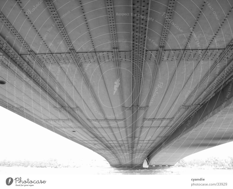 Long mind Bridge Black & white photo Old Water