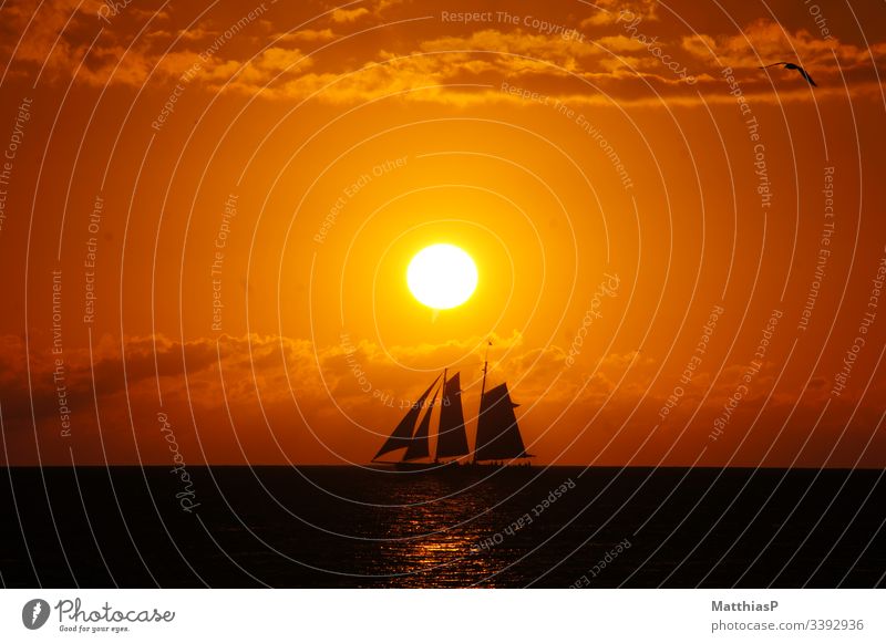 Sunset with sailboat Landscape Earth Sunlight Stone Illuminate Esthetic Exceptional pretty Exterior shot Copy Space bottom Sunbeam Back-light Panorama (View)