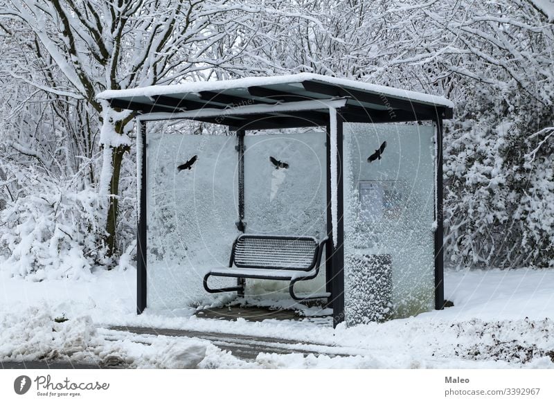 Bus stop on a winter snowy day bus cold transport weather sign frost transportation frozen outdoor road season street travel background nature nobody city