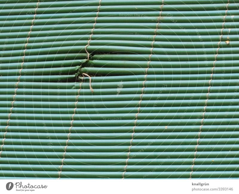Green privacy screen with patched area Screening mended Structures and shapes Protection Deserted Colour photo Pattern Exterior shot Line Stripe Closed Day