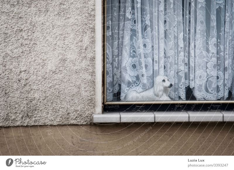 Window to the street, porcelain dog Street house wall Curtain Porcelain dog dog figure sad look Point Drape lace curtain Beige Old peculiar Town Suburb Deserted