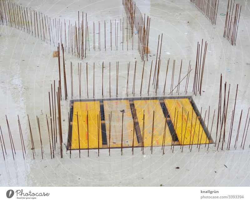 Concrete foundation with vertical reinforcing bars and wooden cover over floor opening Reinforcing steel Construction site Foundations Exterior shot Deserted